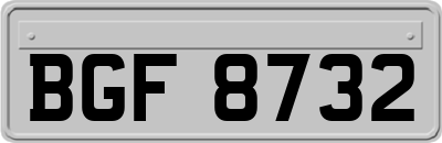 BGF8732