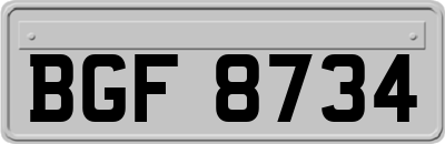 BGF8734