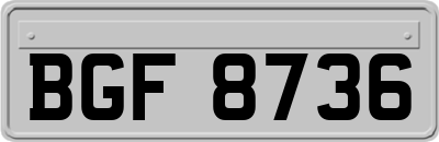 BGF8736