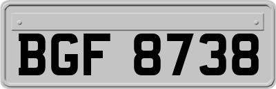 BGF8738