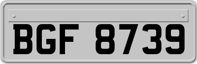 BGF8739
