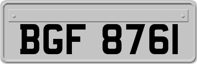 BGF8761