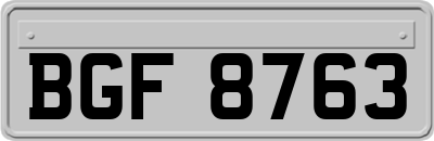 BGF8763