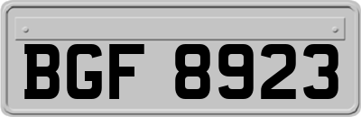 BGF8923