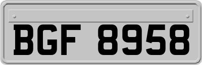 BGF8958
