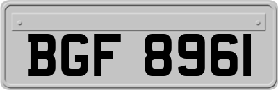 BGF8961