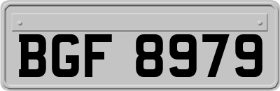 BGF8979