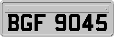 BGF9045