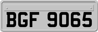 BGF9065