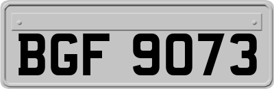 BGF9073