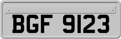 BGF9123