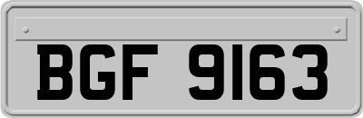 BGF9163