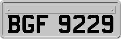 BGF9229