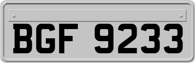 BGF9233