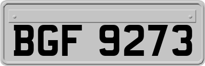BGF9273
