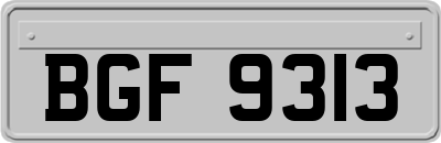 BGF9313