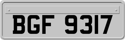 BGF9317