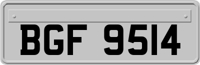 BGF9514