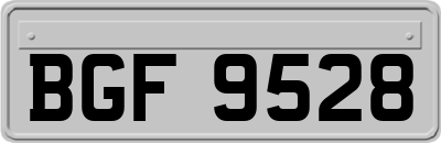BGF9528