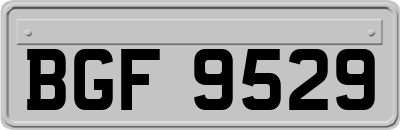 BGF9529
