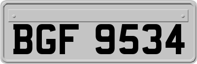 BGF9534