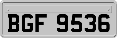 BGF9536