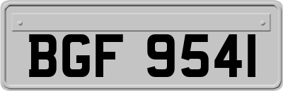 BGF9541