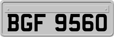 BGF9560