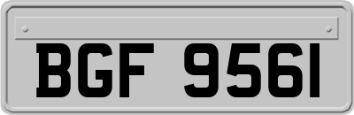 BGF9561