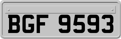 BGF9593