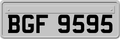 BGF9595