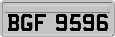BGF9596