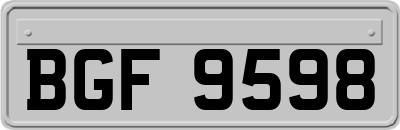 BGF9598