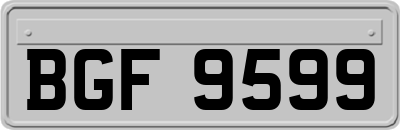 BGF9599