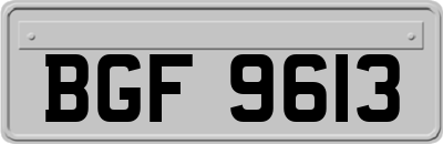 BGF9613