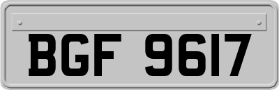 BGF9617
