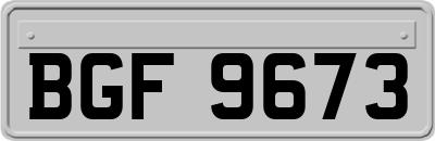 BGF9673