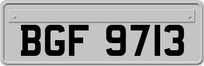 BGF9713