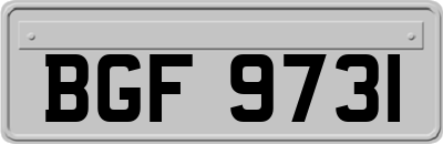 BGF9731
