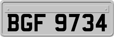 BGF9734