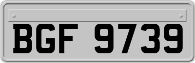 BGF9739