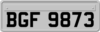 BGF9873