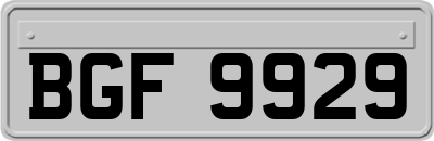 BGF9929