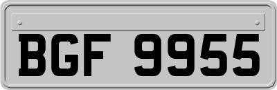 BGF9955