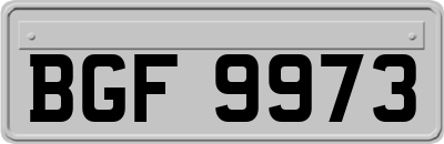 BGF9973
