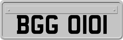BGG0101