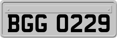 BGG0229