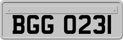 BGG0231