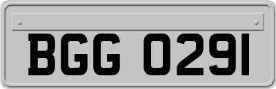 BGG0291
