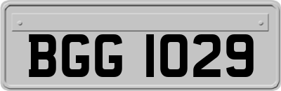 BGG1029